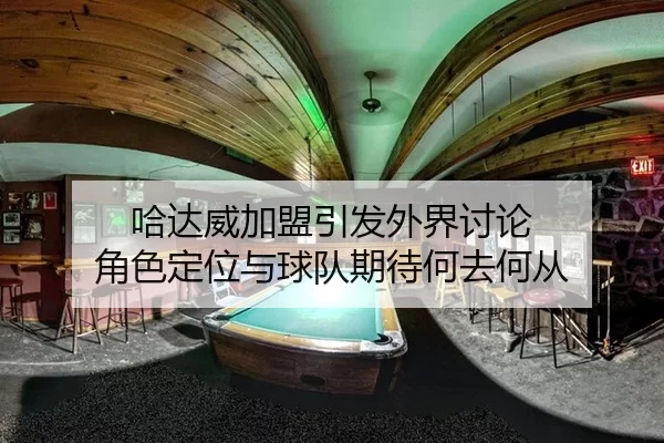 哈达威加盟引发外界讨论 角色定位与球队期待何去何从